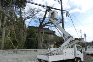 【高所作業】伐採