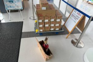 【交換】消火器入替