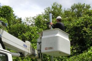 【設置】不法投棄監視に監視カメラ